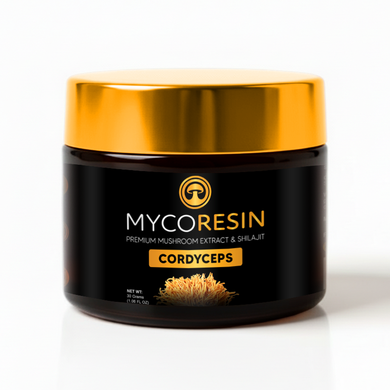 Mushrooms + Shilajit variant 3